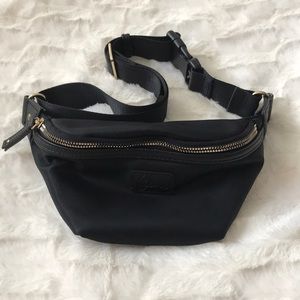 Celine Dion fanny pack